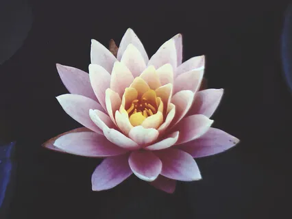 01: "First Melody" - Piano & Nature Sounds