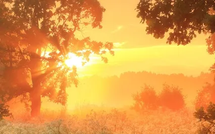 01 Learn How To Meditate