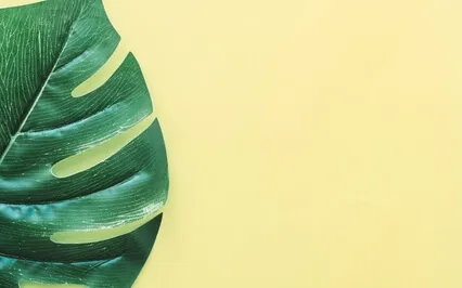 01 Meditation Music - Track 01 - 23.56