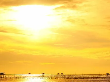 01 Music Introduction