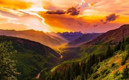 01 Observe And Not Absorb