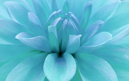 01 Om Shanti Om I'm A Peaceful Soul