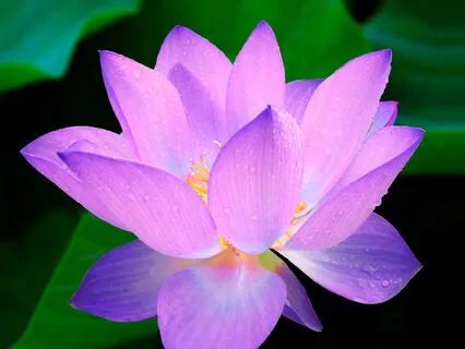 The 8 Obstacles to Gratitude