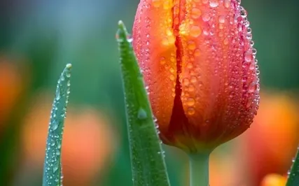 02.13 Happiness -6 The World Is Super-imposed On Real-Self