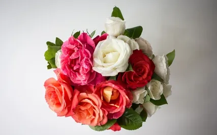 02.20  Happiness - 7 Wow World Is Like A Mirage On Real Self