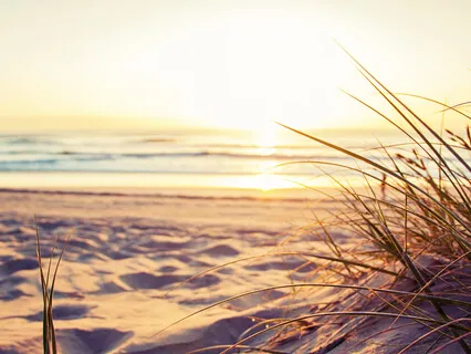 02 | Energy - You Are The Alchemist