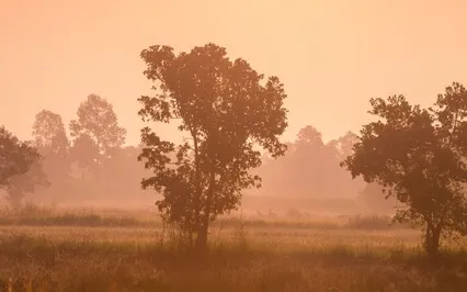 02 Knower Of All Secrets