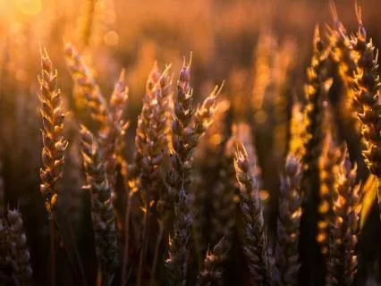 02 The Parables Of Jesus (A Guided Contemplation)