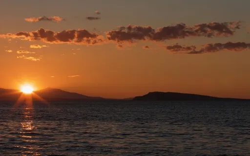 021 - Your Daily Presence