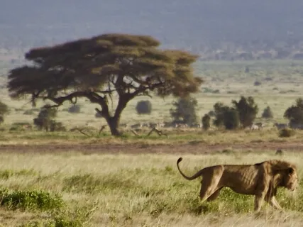 023 - Your Daily Presence