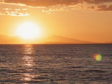 024 - Your Daily Presence