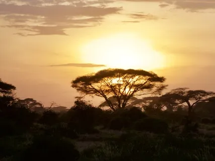 025 - Your Daily Presence