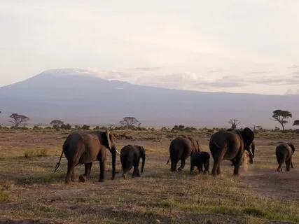 026 - Your Daily Presence