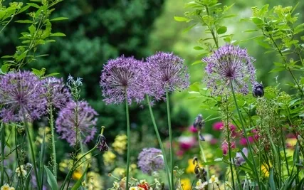 03.20 Happiness: 11 Is Real Nature Has Name & Form Or Nameless