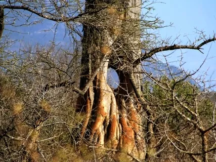 032 - Your Daily Presence