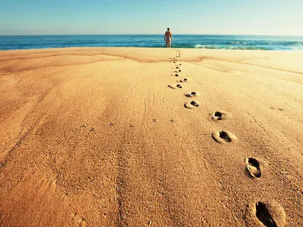 David Lion: The Two Hero's Journeys