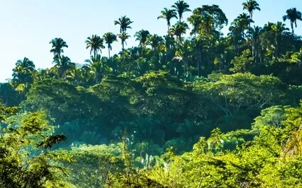 04 The Meaning I Give To Events Around Me