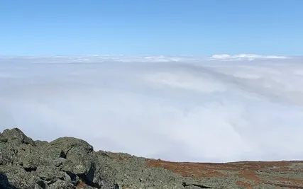 04 Universal Love Didgeridoo Meditation (Full Length)