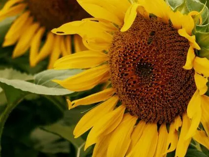 05 - Taking Inspired Action | Law Of Attraction Music Series