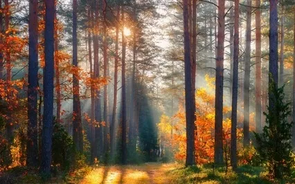 05 Developing Inner Power