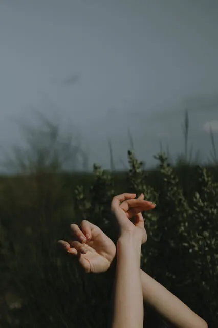 06. Enraizar e Conectar