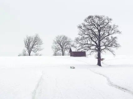 06: "Lament" - Piano & Nature Sounds