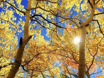 07 Overcoming Stress