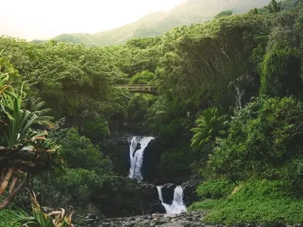 07: "Shadows Of C" - Piano & Nature Sounds