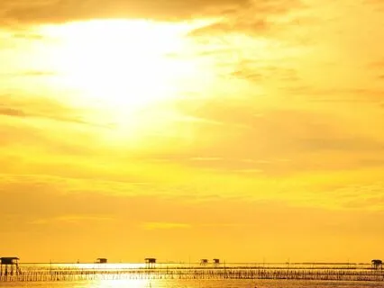 07 The Mind Of An Angel