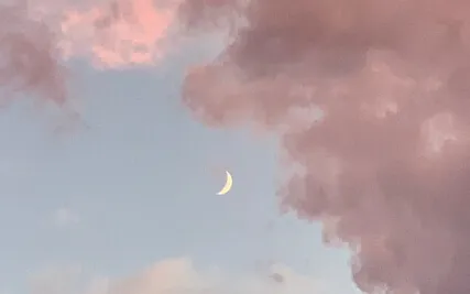 07 Universal Wisdom Didgeridoo Meditation (Full Length)