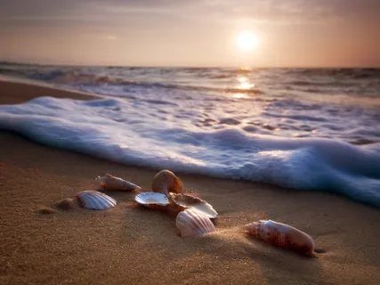 076 Jordan Luke Collier: Subjective Vs Objective Beauty