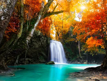 Jordan Luke Collier: Subjective Vs. Objective Beauty (076 )