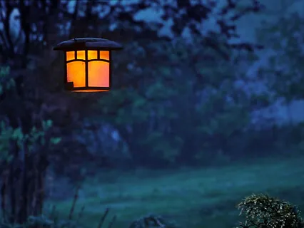 08: "Nocturne" - Piano & Nature Sounds