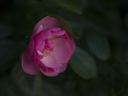 Guided Advaita Vedanta Practice #9