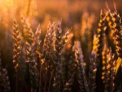 09 The Parables Of Jesus (A Guided Contemplation)