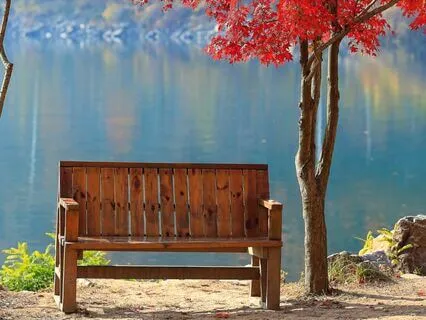 09 Whose Child I Am Commentary