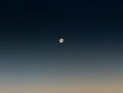 1.3 How To Relax (Mindfulness Meditation)