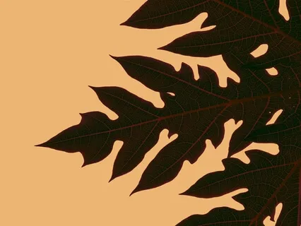 1.4 Meditation Challenge (Unguided Meditation)