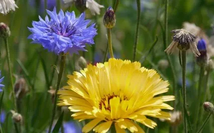 1 Habit To Stop Doing Today