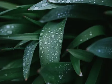 1 Hora De Sonido De Lluvia Para Dormir Y Relajar