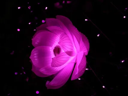 1-Hour Ambient Music (Ideal For Meditation, Relaxation, Anxiety Relief, Study)