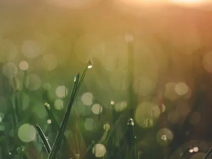 1 Hour ASMR Whispers: Money Flows To Me Affirmations