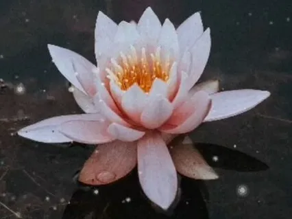 1 Hour Deep Meditation Music (Looping Sound Bath)