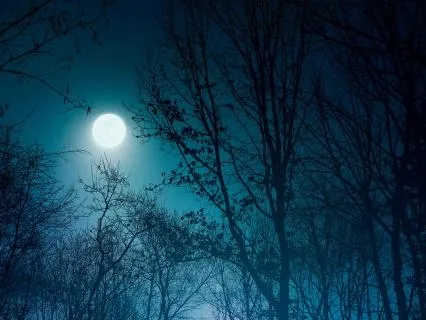 1 Hour Deep Sleep Affirmation Meditation