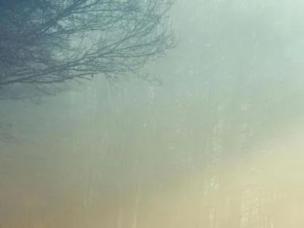 1 Hour Deep Sleep Ambient Soundscape