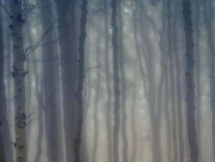 1-Hour Deep Space Sleep Music — Thalira Elyra