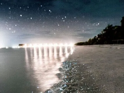 1-Hour Handpan Flow And Ocean