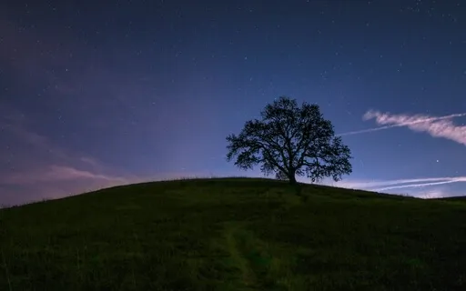 1 Hour “I Am” Affirmations For Deep Sleep & Insomnia Relief