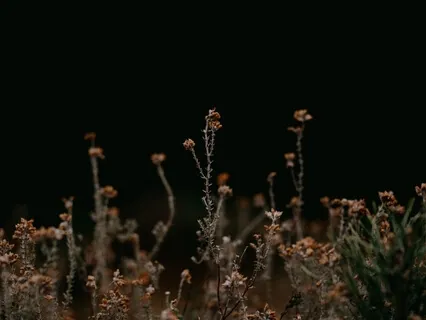 1 Hour Loop | Affirmations For Sleep & Depression