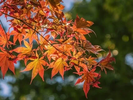 1 Hour Of 8D Piano & Rain For Deep Relaxation